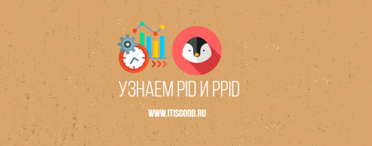 🐧 Как найти PID и PPID процесса в системах Linux